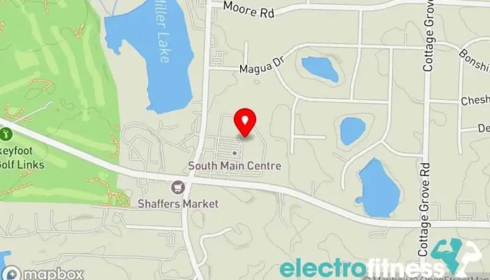 map of American Muscle & Fitness Gym, Fitness center, Personal trainer, Physical fitness program in Akron