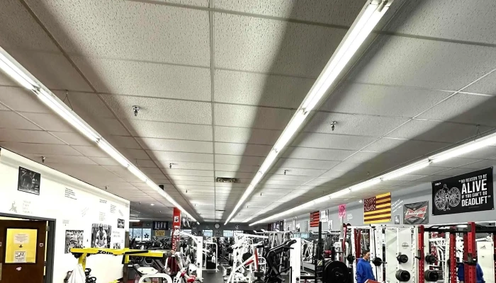American Muscle Fitness Phone - Akron