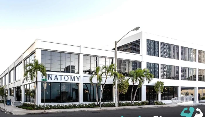 Anatomy -  All - Miami