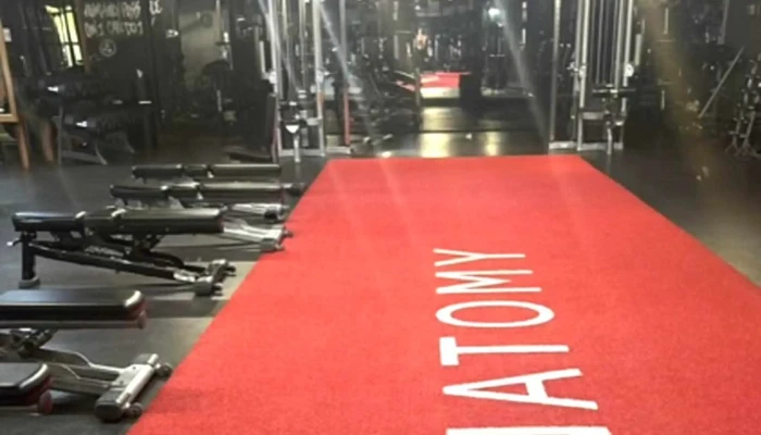 Anatomy -  Gym - Miami