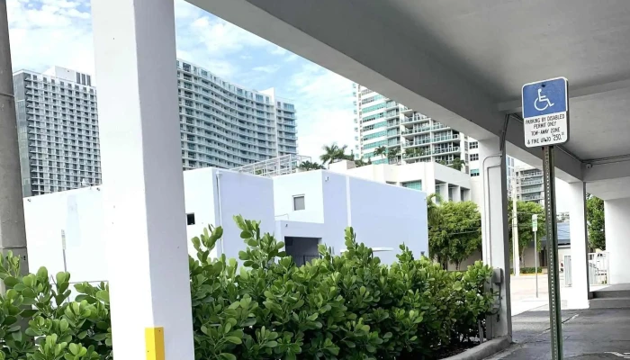 Anatomy -  Reviews - Miami