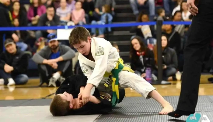 Anchorage Brazilian Jiu -  Jitsu Martial Art - Anchorage