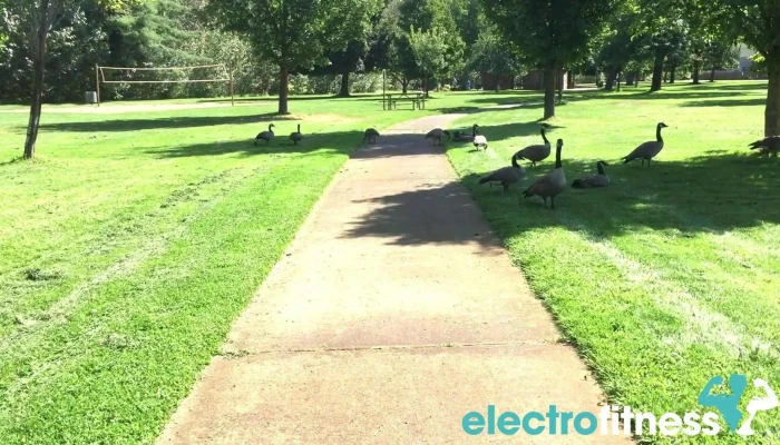 Ann Morrison Park Outdoor Gym -  Ann Morrison Park Disc Golf Course - Boise