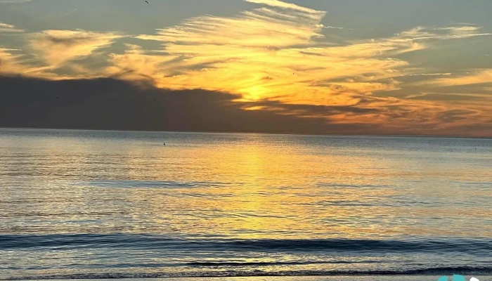 Anna Maria Island Beach -  All - Anna Maria