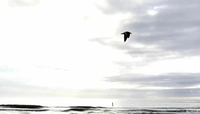 Anna Maria Island Beach -  Where - Anna Maria