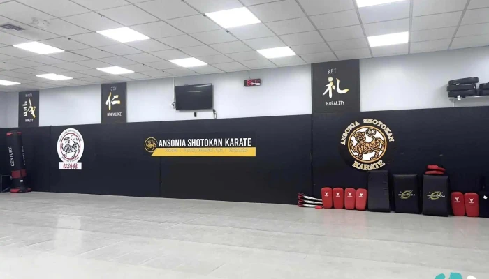 Ansonia Shotokan Karate -  Latest - Ansonia