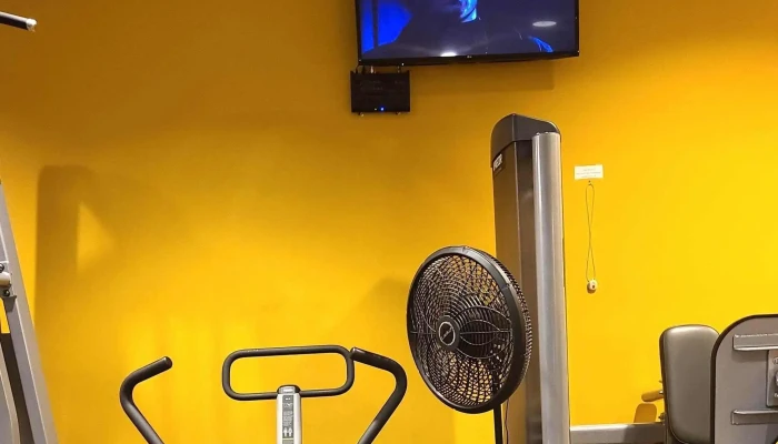 Anytime Fitness -  Alameda - Alameda