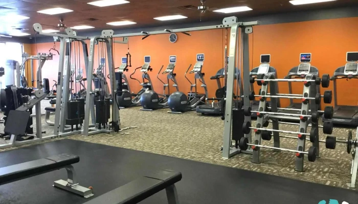 Anytime Fitness -  All - Ville Platte
