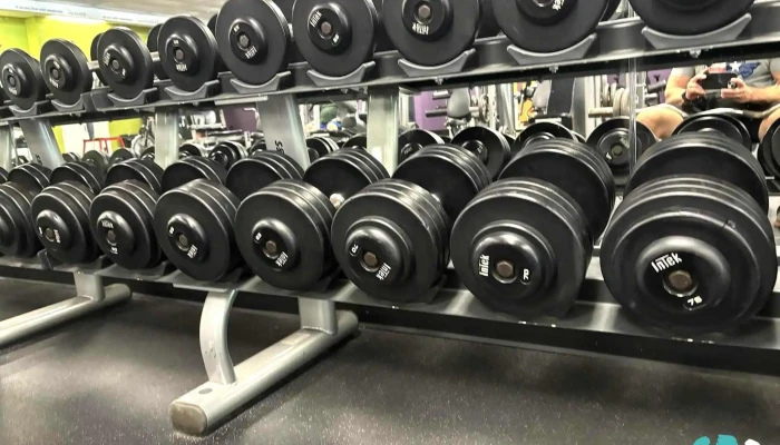 Anytime Fitness -  All - Kingston