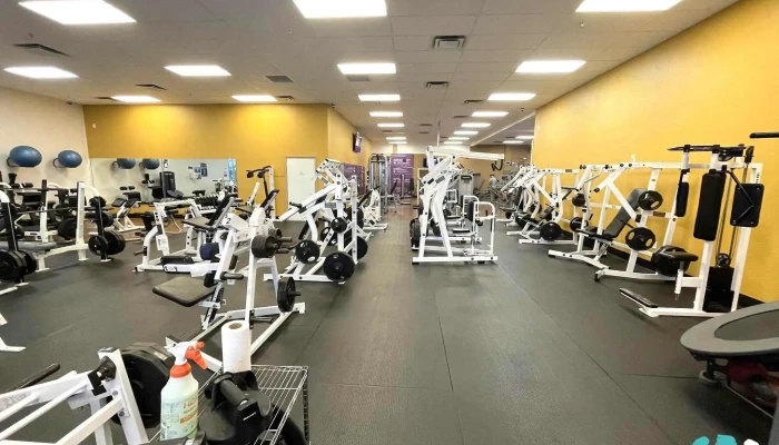 Anytime Fitness -  All - Cape Coral