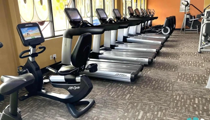 Anytime Fitness -  All - White Bear Lake