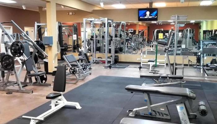 Anytime Fitness -  Area - Adel