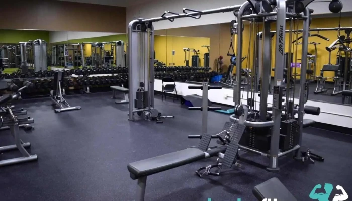 Anytime Fitness -  Exercise Machine - Maplewood