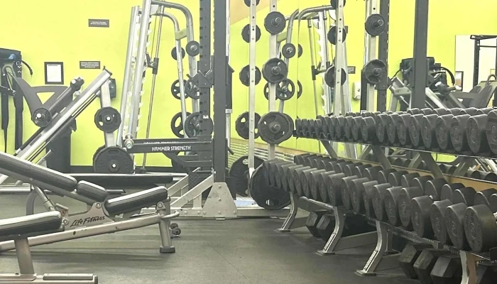 Anytime Fitness -  Gym - Alma