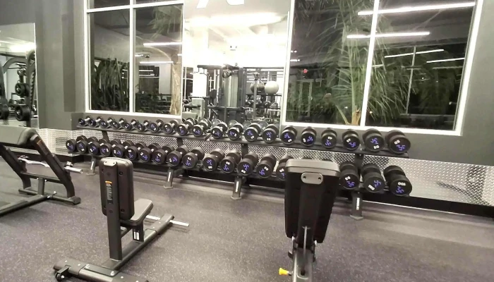 Anytime Fitness -  Promotion - Tujunga