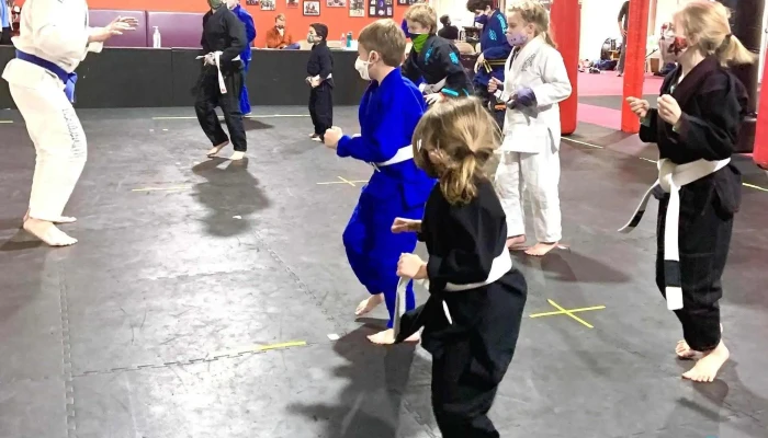 Apex Martial Arts Center -  By Owner - Apex