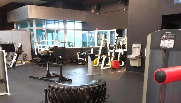 Atilis Gym Galloway -  Website - Galloway