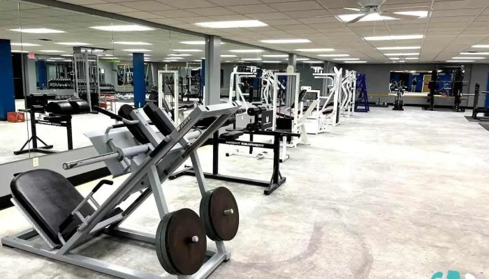Barbell 828 -  Gym - Quincy