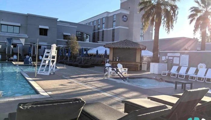 Bay Club Walnut Creek -  Swimming Pool - Walnut Creek