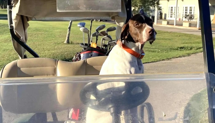 Bayou Bend Golf Health Club Instagram - Crowley