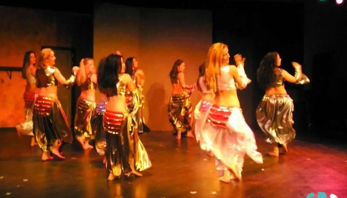 Belly Dance 4 Fitness Classes -  All - Agoura Hills