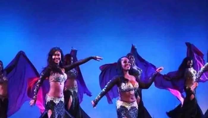 Belly Dance Studio Dance - Walnut Creek