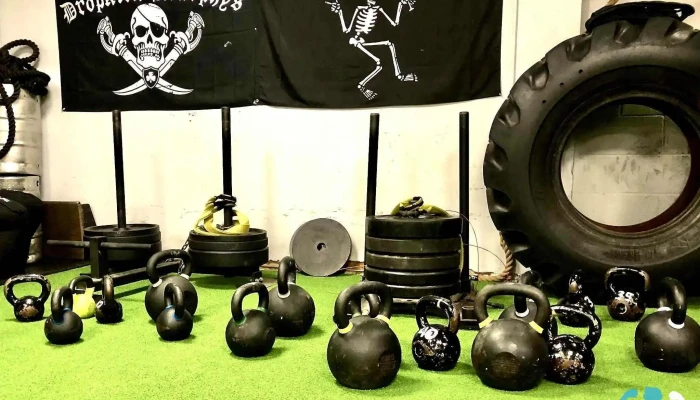 Big Tree Fitness -  By Owner - Akron