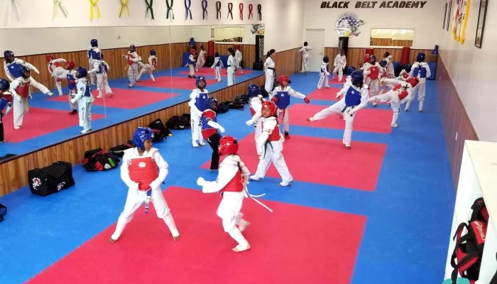 Black Belt Academy -  Martial Art - Fort Washington