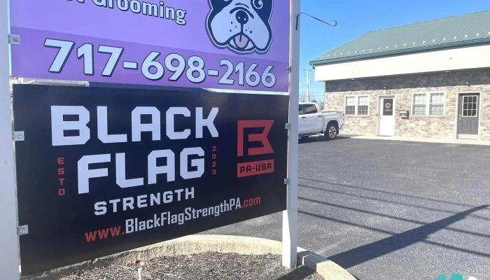Black Flag Strength -  By Owner - Hanover