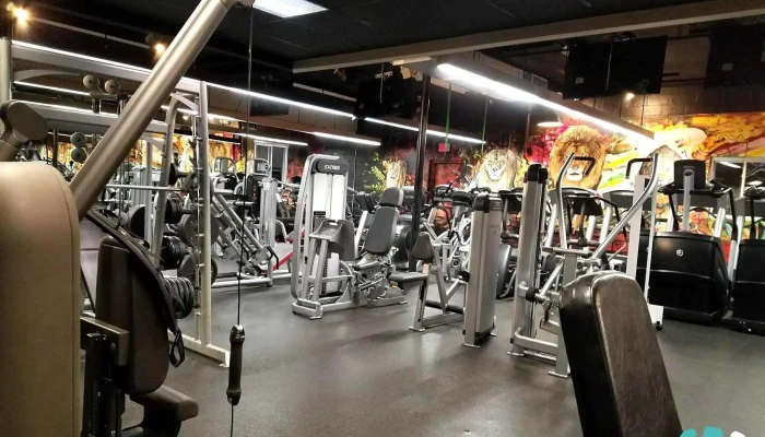 Body Chemistry Fitness Center -  Gym - Norwood