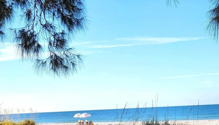 Body Sol Spa And Wellness Instagram - Anna Maria