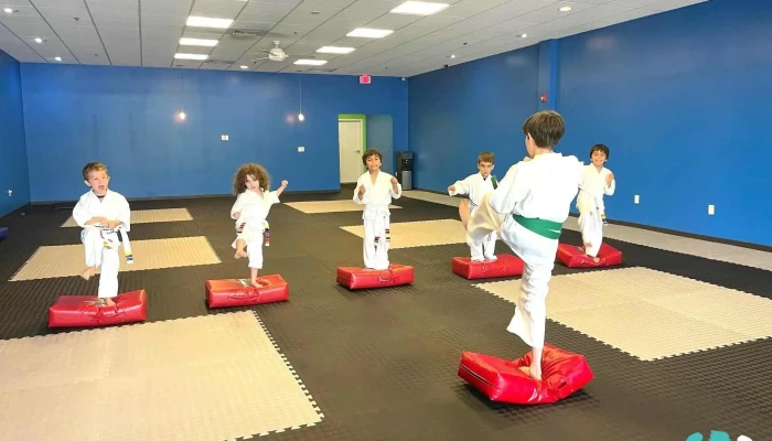 Borges Martial Arts -    Acton Martial Art - Acton