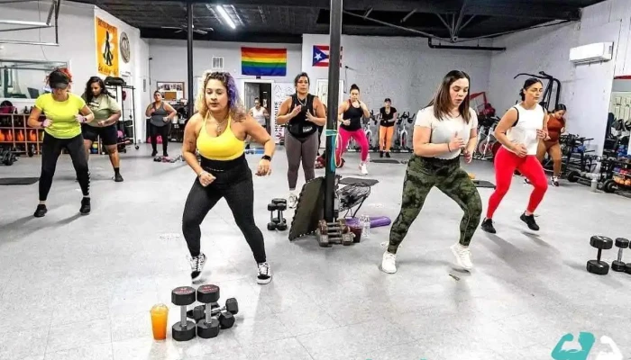 Bosslady Fit -  Gym - Springfield