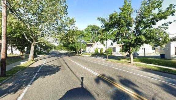 Bosslady Fit -  Street View 360deg - Springfield