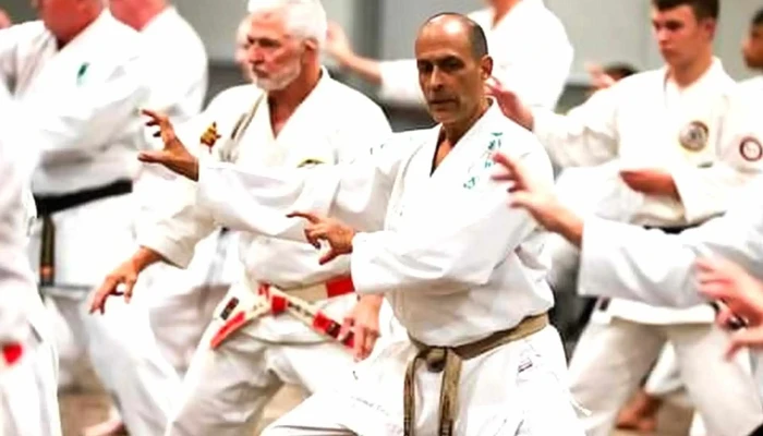 Bowles Karate Academy Usa Inc Martial Arts School - Fort Wayne