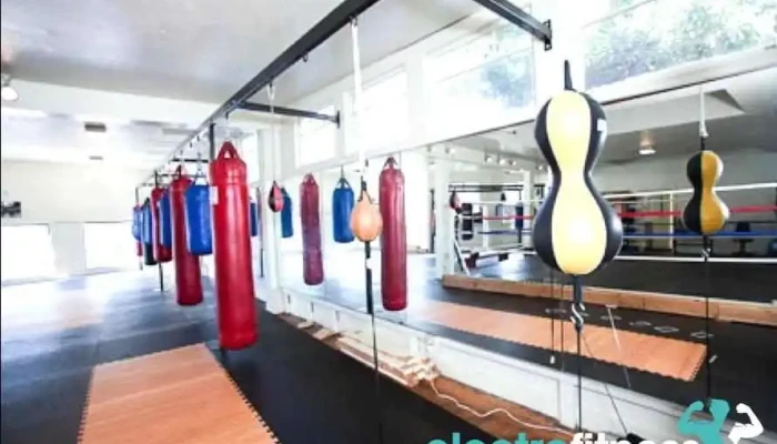 Boxing For Health -  All - Oakland
