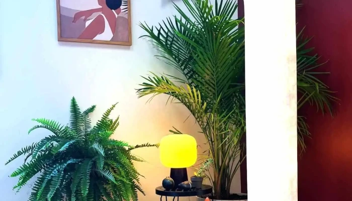 Breath Of Life Yoga With Jocelyn Lee Wright By Owner - Bloomsburg