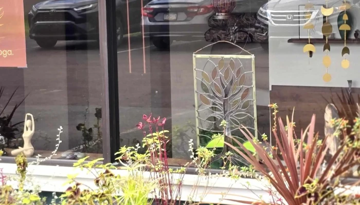 Breath Of Life Yoga With Jocelyn Lee Wright Yoga Studio - Bloomsburg