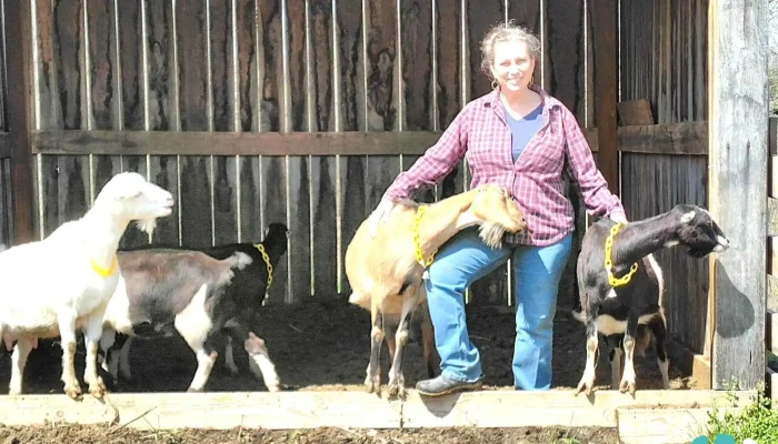 Buck Creek Stables -  All - Smiths Grove