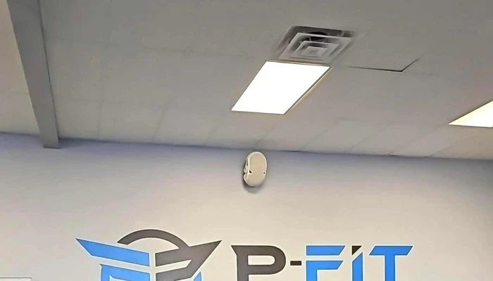 Cape Coral P -  Fit The Platinum Standard Of Fitness Instagram - Cape Coral