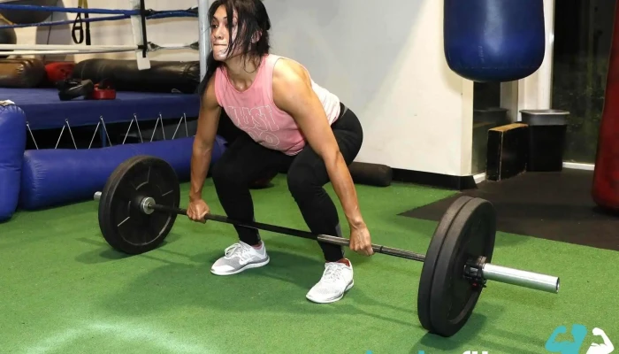 Cheevers Fitness -  By Owner - Agoura Hills