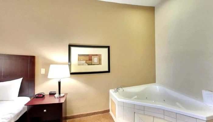 Comfort Inn Suites Rooms - Alvarado