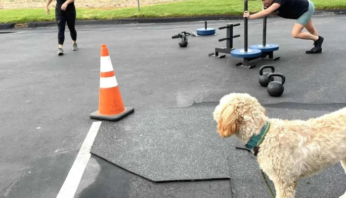 Crossfit Coveted Santa Clarita By Owner - Santa Clarita