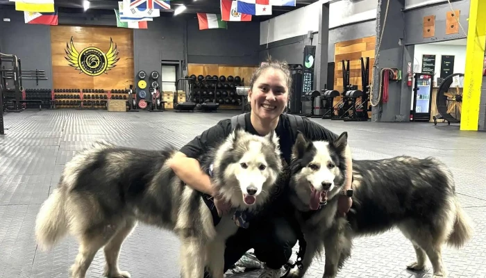 Crossfit Yellow Falcon Miami -  Gym - Miami