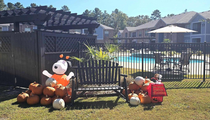 Crown Forest Apartments -  Website - Lufkin