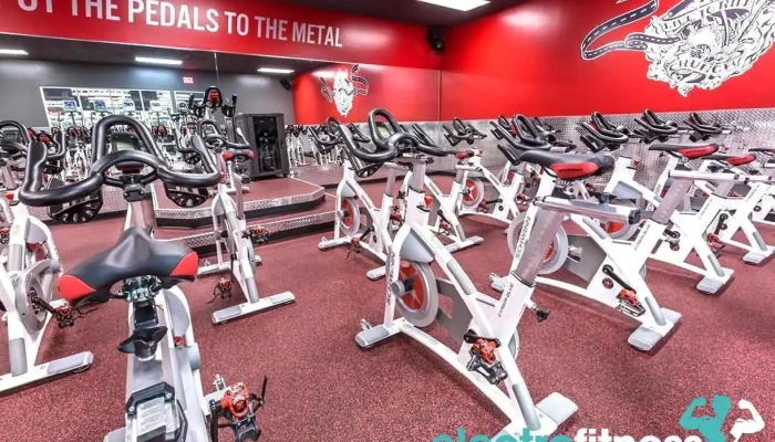 Crunch Fitness -    Addison Exercise Machine - Addison