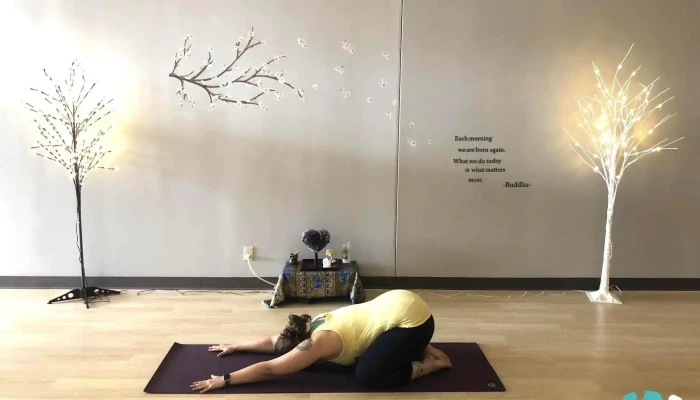 Crystal Haven Wellness Living Previously Yoga Haven All - Littleton