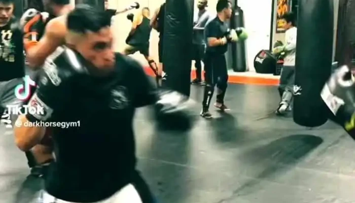 Dark Horse Gym -  By Owner - San Jose
