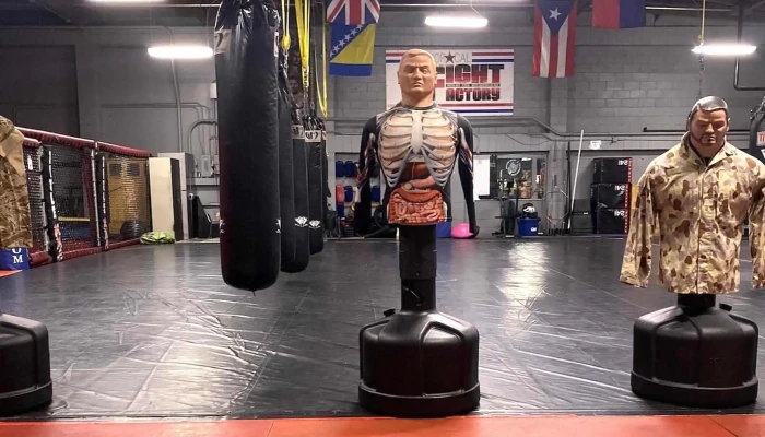 Dark Horse Gym -  Martial Arts School - San Jose