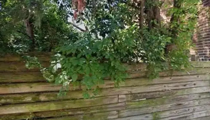 Dc Strength Nutrition Street View 360deg - Washington